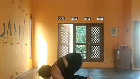 Arm Balance pose with Bakasana or Crow pose