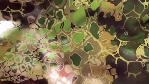 Sweet Camo