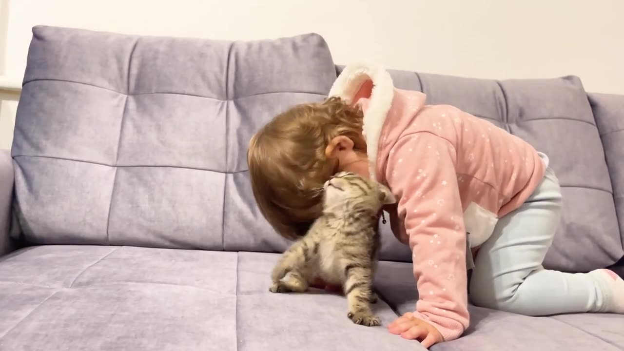 Cute baby meets new baby kitten for the first time.