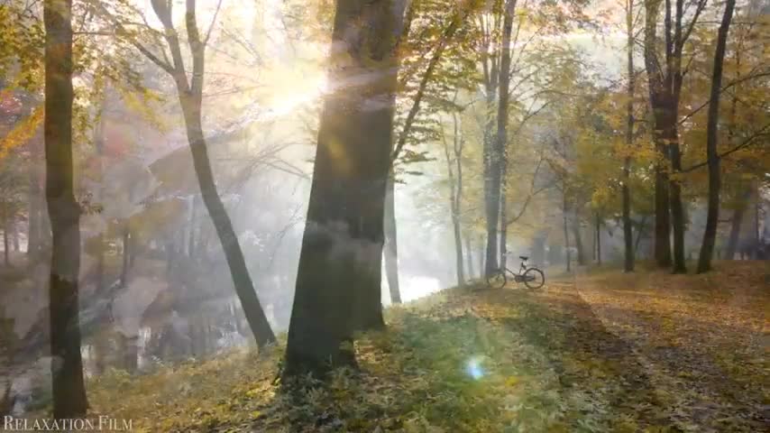 Nature Autumn 4K Relaxation Film Meditation Music, Beautiful Relaxing Music, Nature Sounds