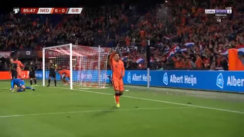 Netherlands national team