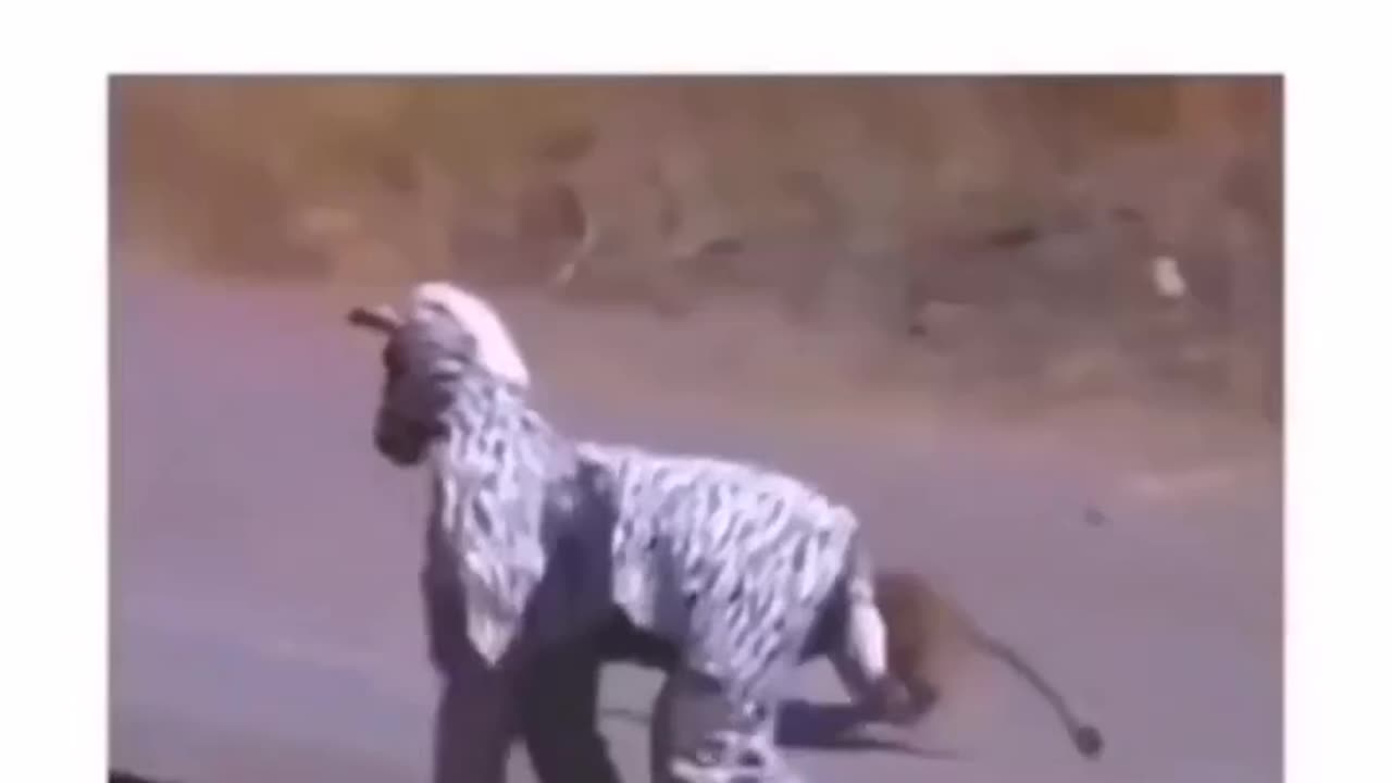 When you google"worst idea ever"