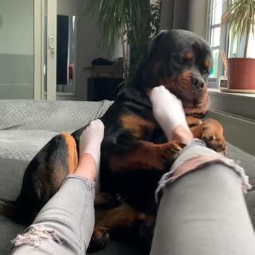 don't touch my mommy 😂