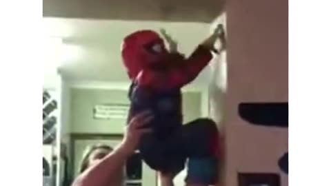 spider man kid😅😂😂