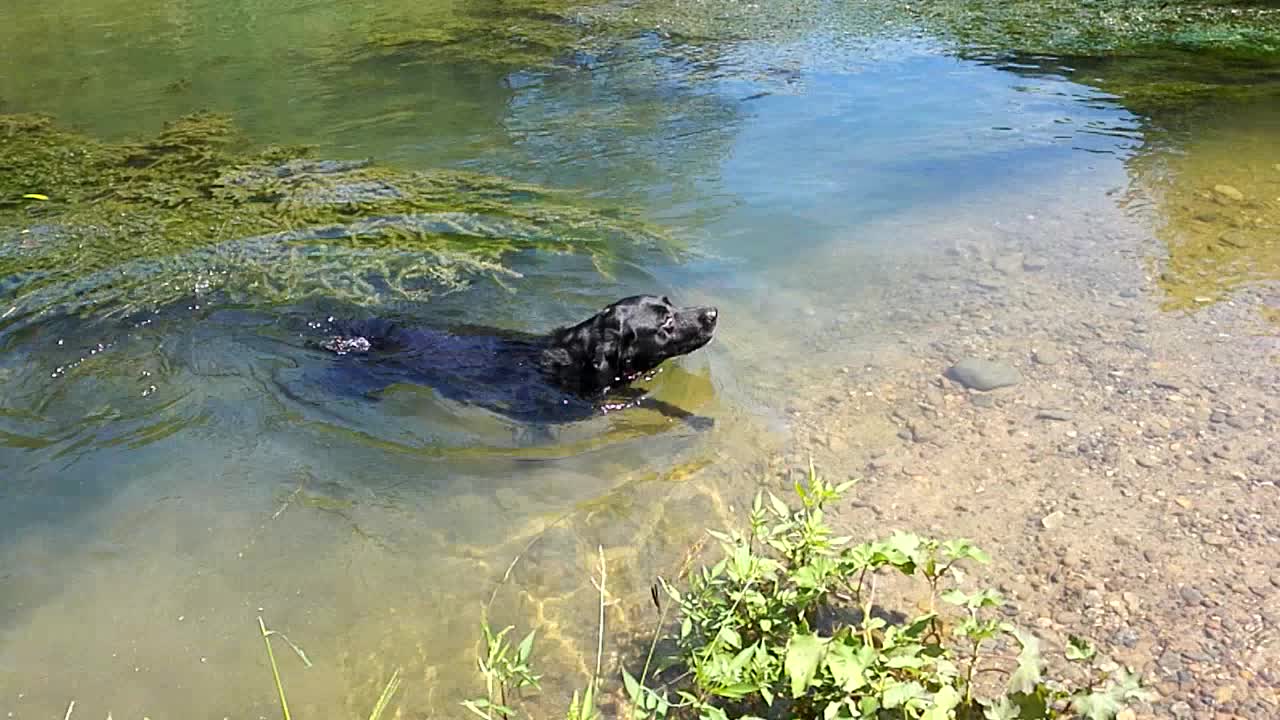 A handsome boy come to swimming