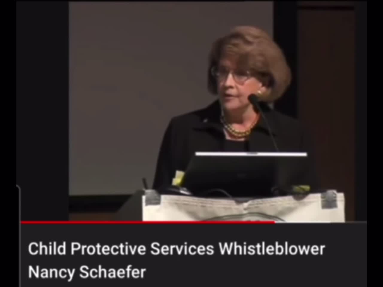 Child Protective Services Whistleblower: Nancy Schaefer - An Unsung Hero For The Children