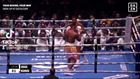 Anthony Joshua vs Francis Ngannu