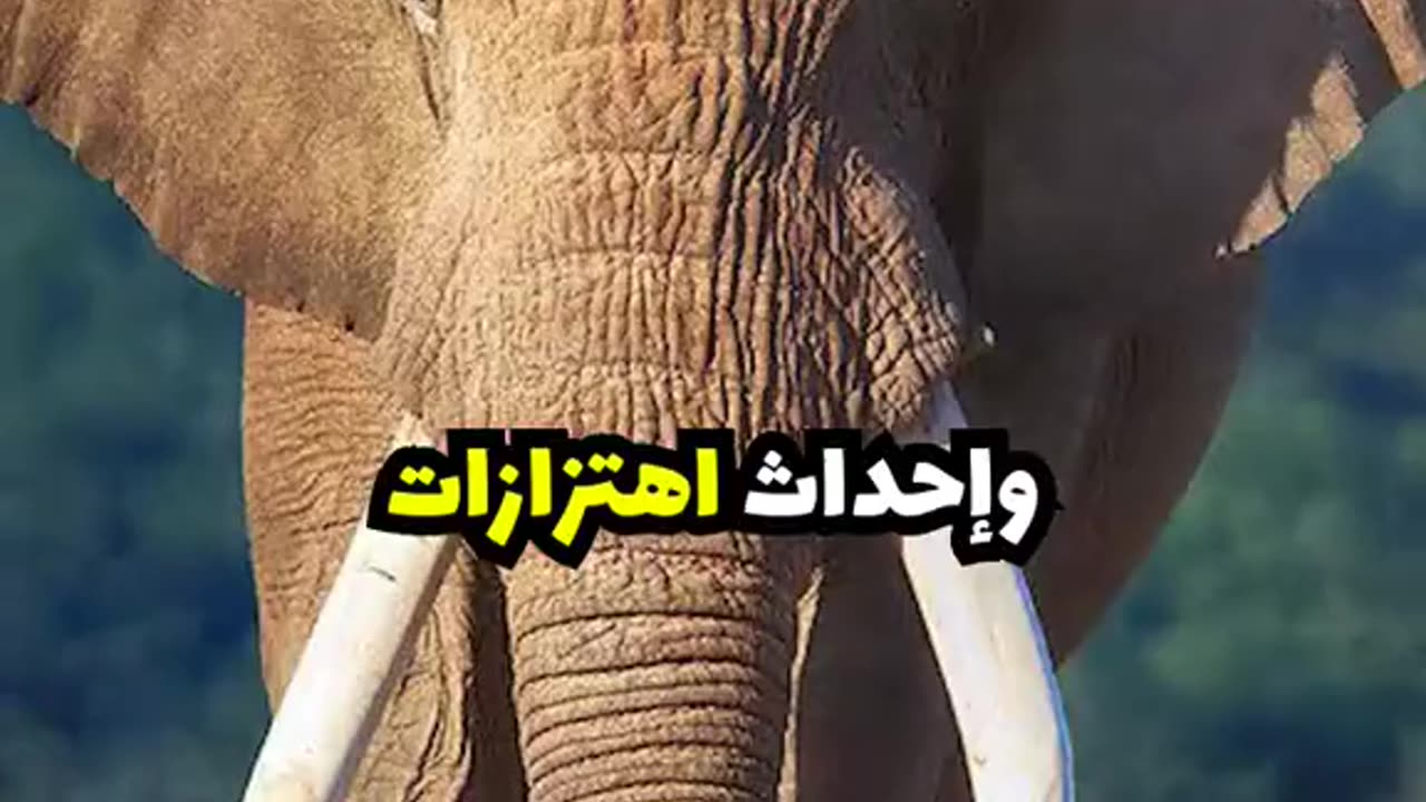 The strongest animals on earth