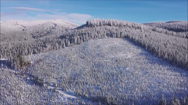 Snowscape Tumala mountain road, 01-01-2022-2