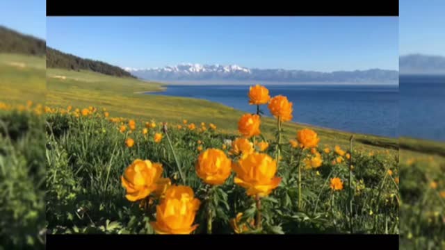 Amazing Beautiful Nature Scenery with Relaxing Music | Top 9