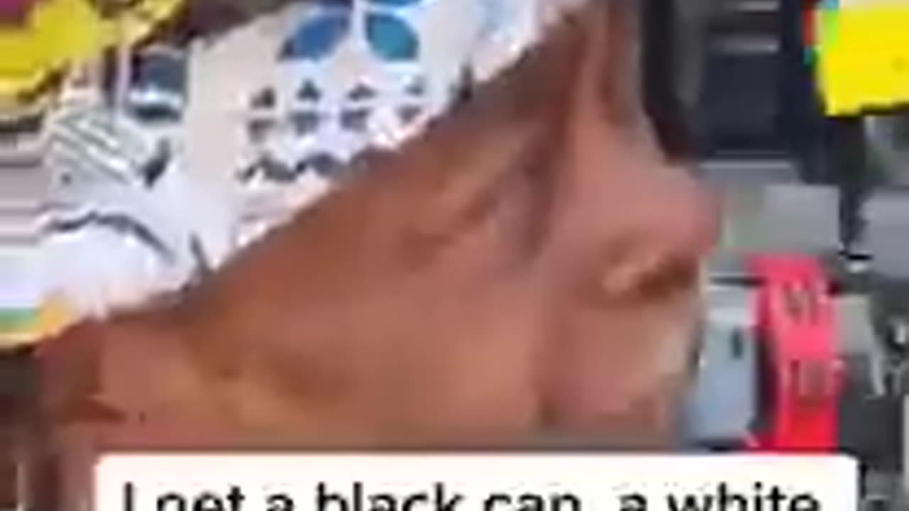 Wise man