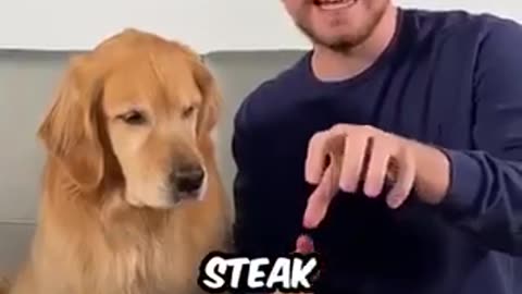 1$ vs 10,000$ Mr beast vs dog