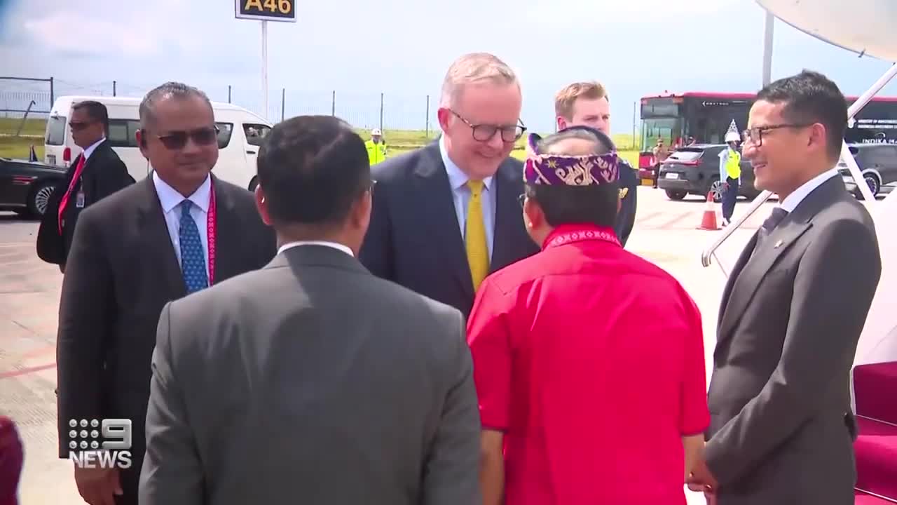 Anthony Albanese set for meeting with Chinese President Xi Jinping at G20 summit _ 9 News Australia