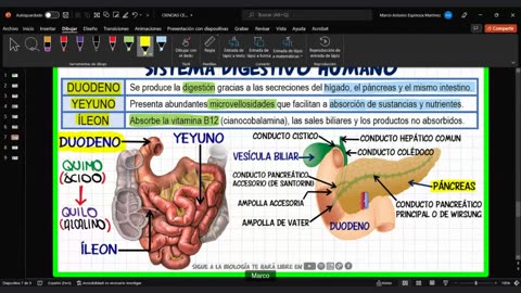 CIENCIAS DESDE CERO LBTHL 2022 | Semana 05 | BIOLOGÍA S1