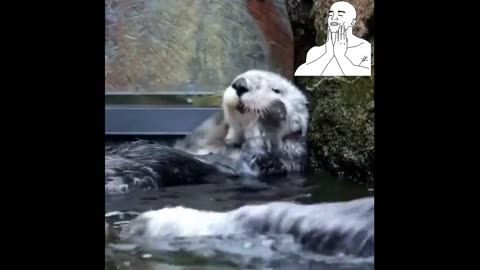 Soothing