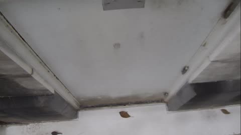 0921USCG00HT18Exterior_2021-01-06_15h00min01s937ms.mp4