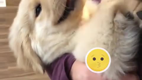When you kinda wanna bite but you also want da kisses.