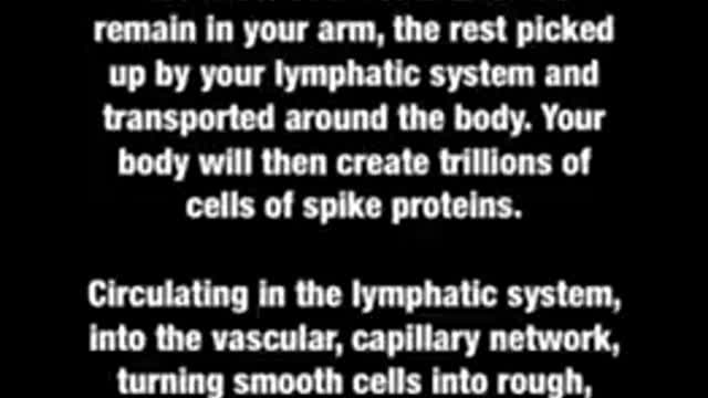 VISUAL DISPLAY HOW MRNA "VACCINES" INJURE CELLS AND PROGNOSIS - DR. CHARLES HOFFE