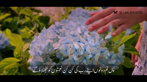 Surah Rahman full with Urdu translation & Explanation - Amazing Quran Visualization