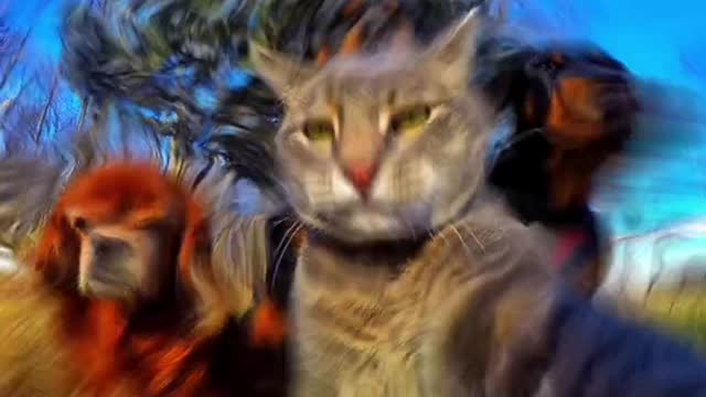 When I saw this ad, I knew what to do