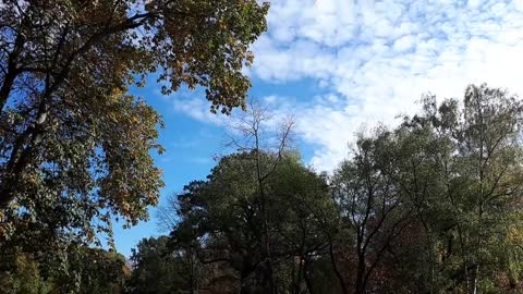 Himmel in Berlin am 26.10.2022 um 13 Uhr