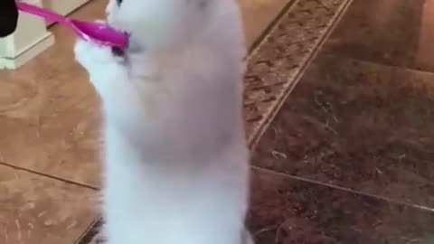 so funny