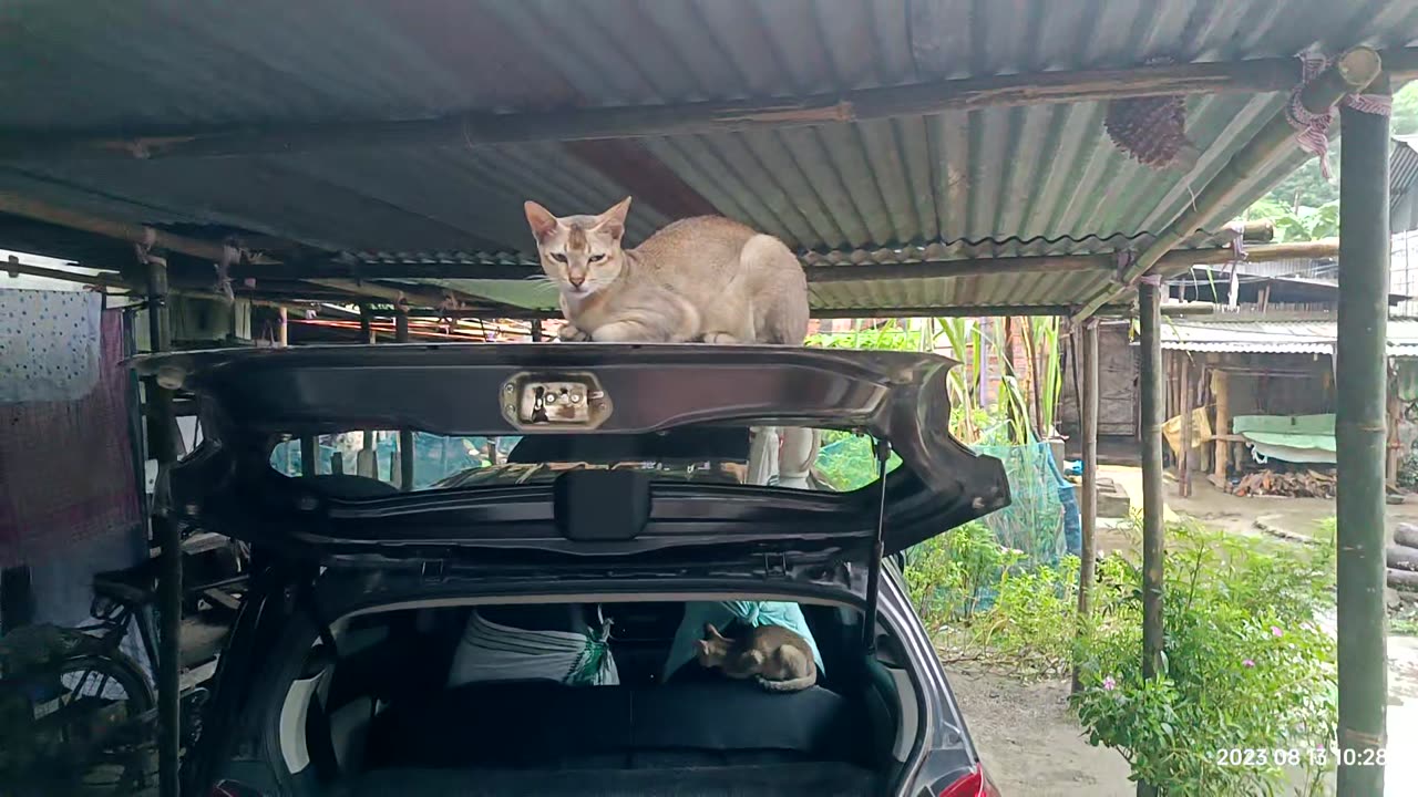 Car Service at Home is easy