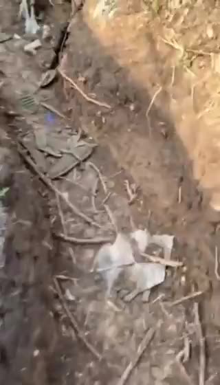 Walking Russian Trenches after Firefight