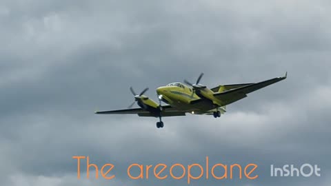 The aeroplane.