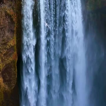 Nature's Hidden Treasures: The Beauty of Our Planet