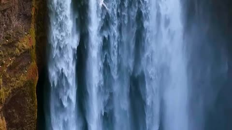 Nature's Hidden Treasures: The Beauty of Our Planet