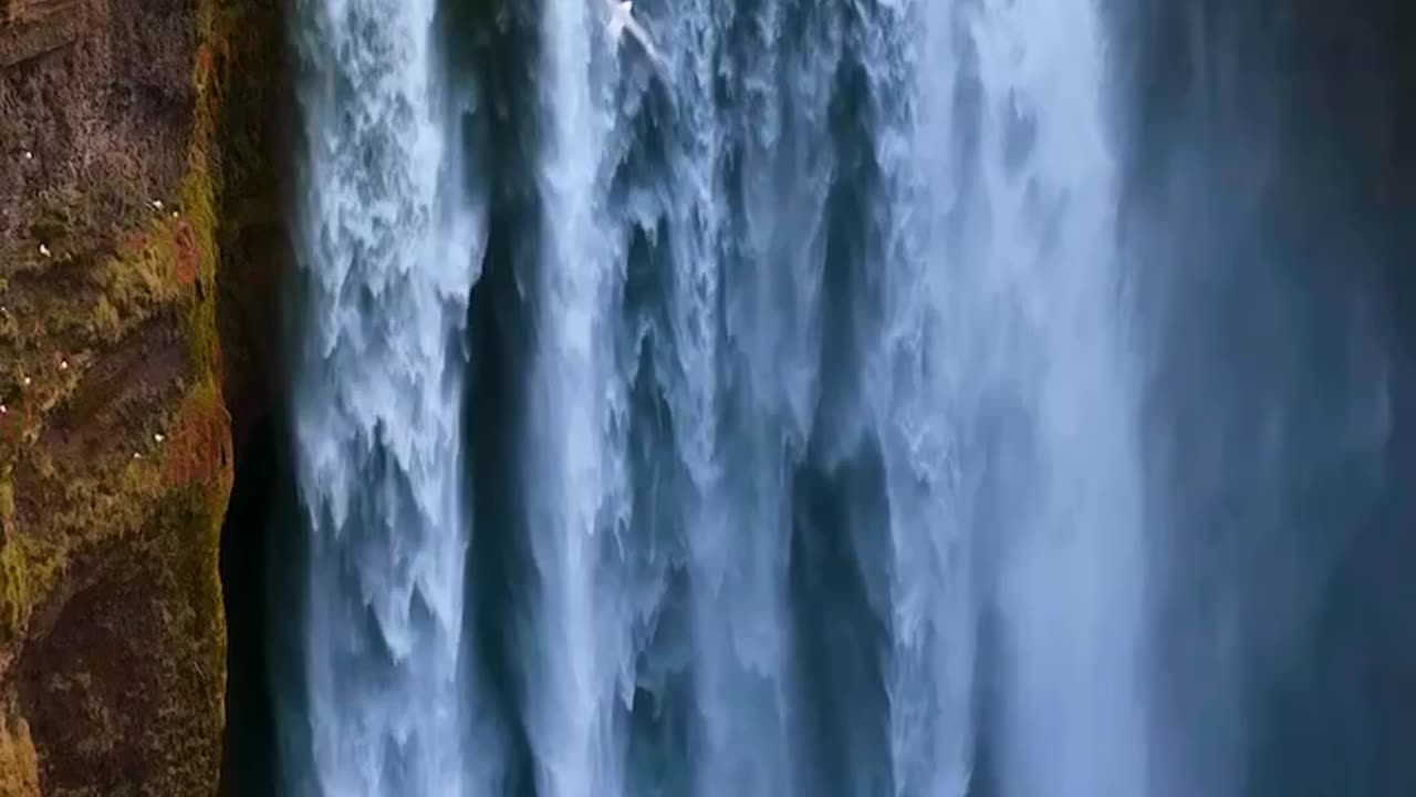 Nature's Hidden Treasures: The Beauty of Our Planet