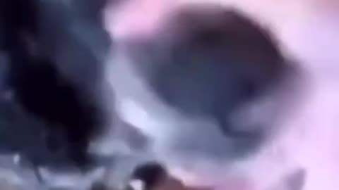 What's that boy ?