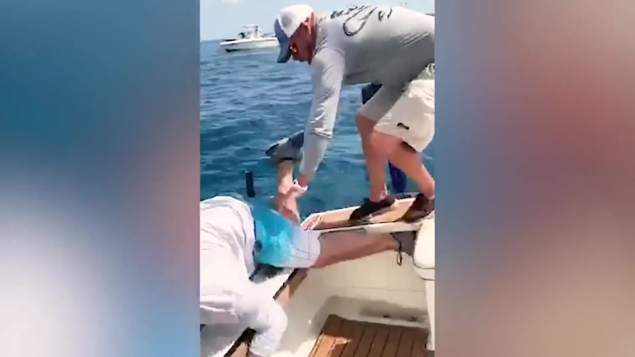 Try Not To Laugh Funny Videos - Go Fishing And Fails!