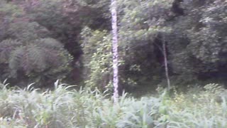 Abandone Chiviaza waterfall pursuit