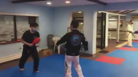 Taekwondo