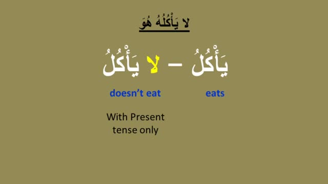 Learn Arabic through short storiesfor beginners story 2