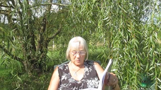 Tales from under the trees