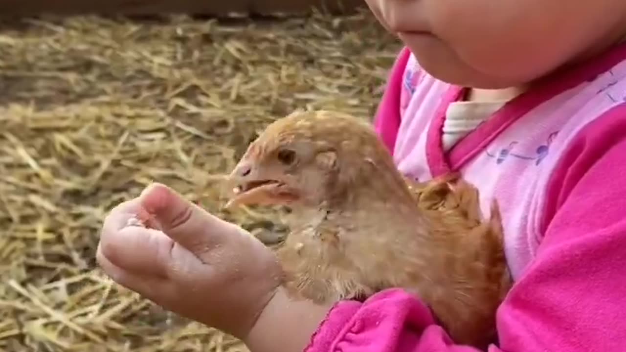 Nom Nom Nom Cute Baby With chick