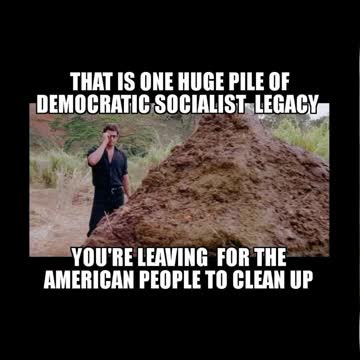 Protecting Democracy