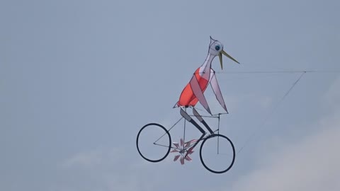 little egret on the bike kite - by Sanma Kites