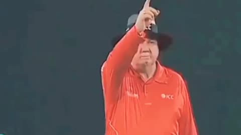 Professor Showing His Level