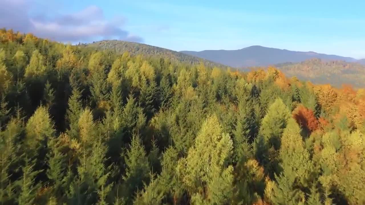 Enchanting Autumn Forests with Beautiful Piano Music