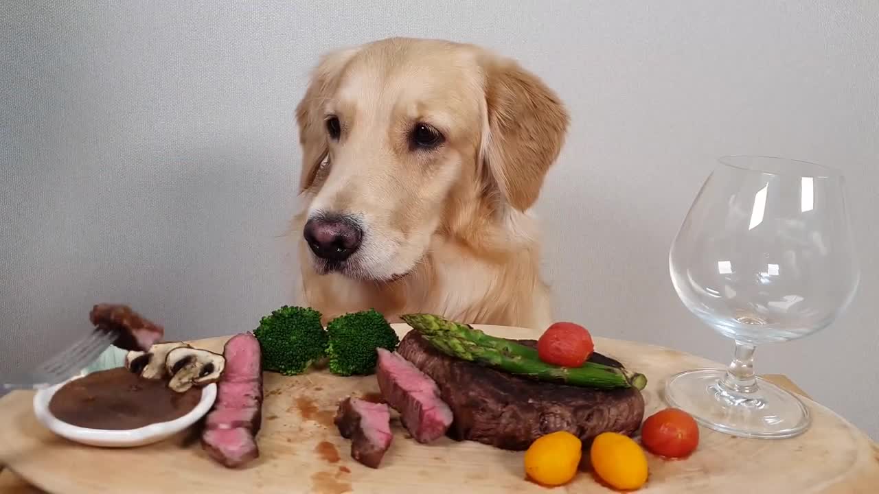 My Dog Eating Show Steak& Wine Asparagus Mukbang