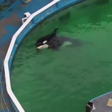 We need to end this..