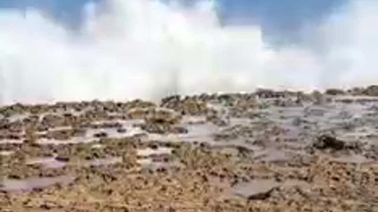 A wave