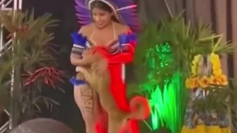 Smart dog doing stage show with girl