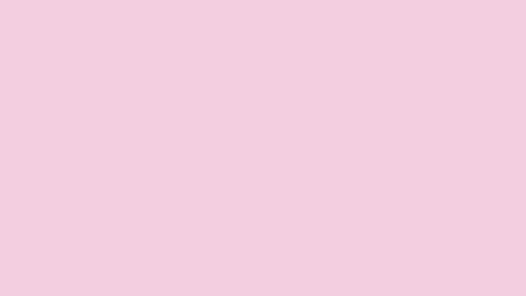 PINK SCREEN 12 HOURS