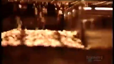 How it's Made Dog and Cat Food