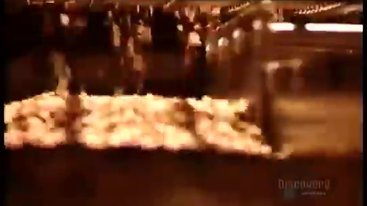 How it's Made Dog and Cat Food